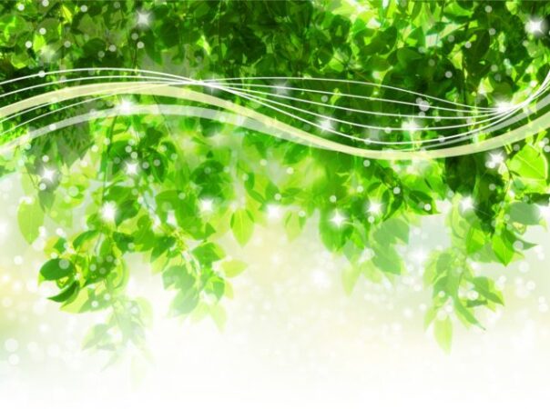 クリエイティブな自分が投影されてたイメージを保とう。