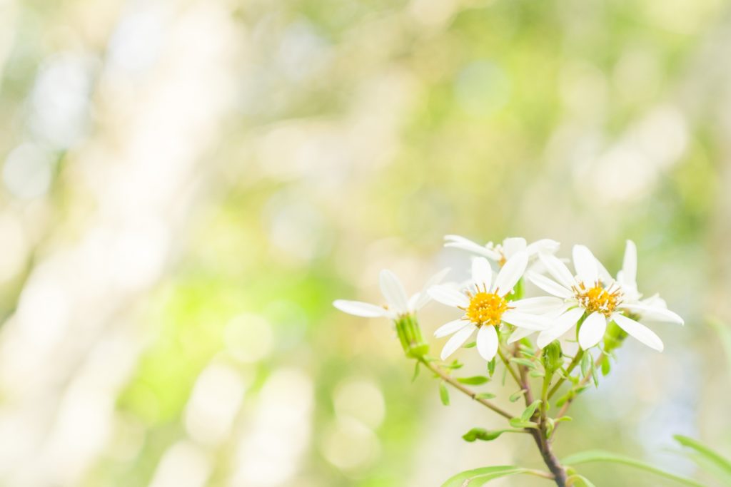 隠されている、それを見つける感性